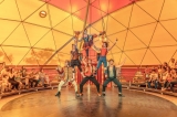 'Tandarica Circus Experience' busca la complicitat del públic (foto: Cia. Passabarret).